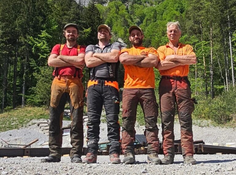 hanspeter maier forsttechnik 3 klein quer