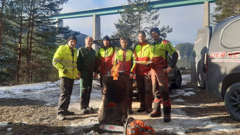 hanspeter maier forsttechnik 6