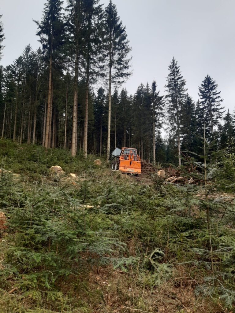 hanspeter maier forsttechnik 9