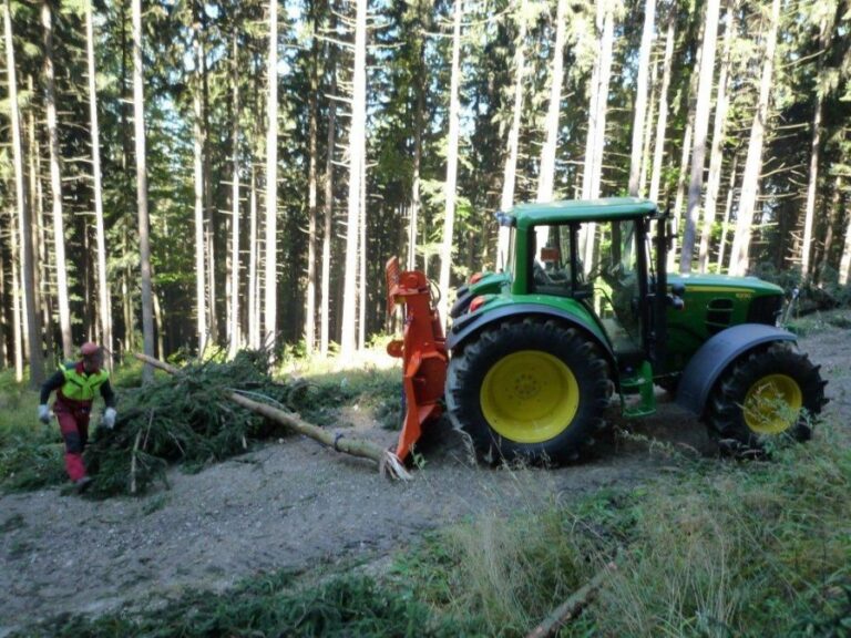 tiger seilwinde im wald